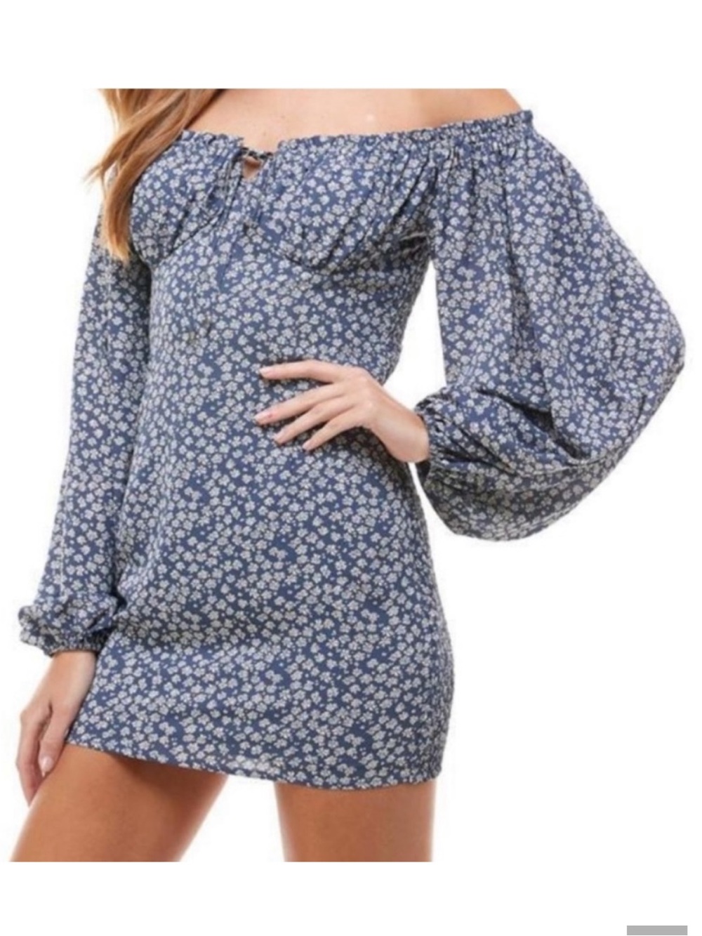 ACOA Blue Floral Off-the-Shoulder Long-Sleeve Mini Dress